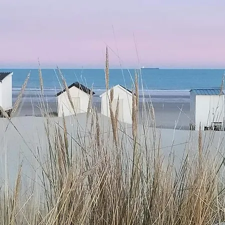 L'opaline - Vue Daire *